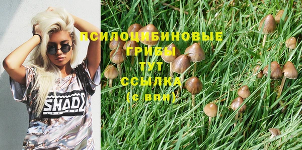 круглые Аркадак
