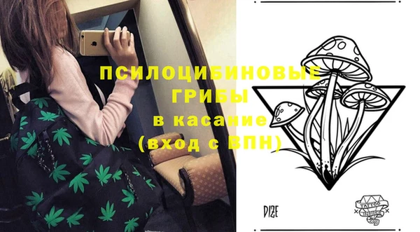 круглые Аркадак