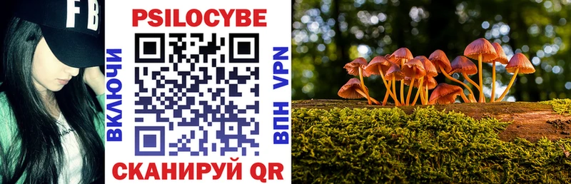 Галлюциногенные грибы Psilocybe  купить закладку  Радужный 