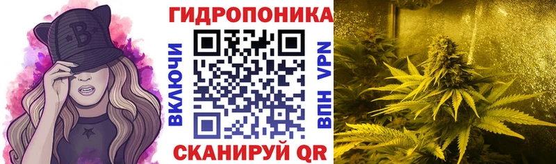 где продают наркотики  OMG ТОР  Шишки марихуана индика  Радужный 